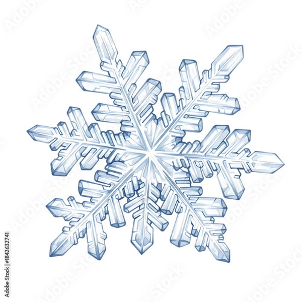 Obraz Delicate snowflake with intricate crystal structure