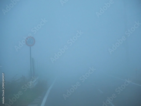Obraz 朝の濃霧の天気の中の道路と速度制限の印の様子