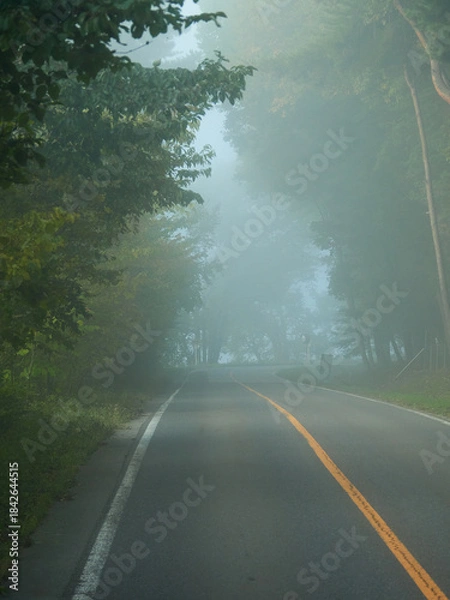 Obraz 山の朝の濃霧の天気の中の道路の風景