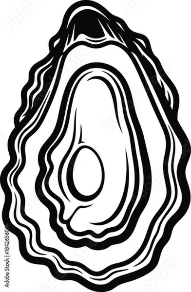 Obraz Abstract Oyster Shell Line Art Vector Illustration