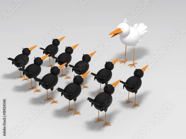 Obraz White and black birds