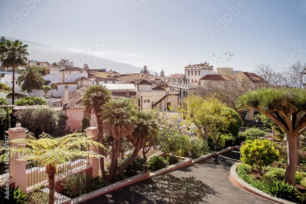 Fototapeta La Orotava, Tenerife, Spain 03.06.2018: Vibrant garden in La Orotava, Tenerife, featuring tropical plants and a pathway leading through lush greenery