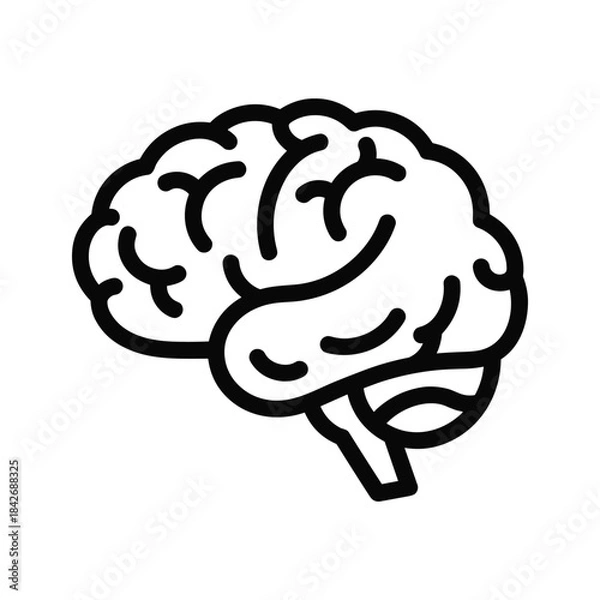 Fototapeta Simple line drawing of human brain