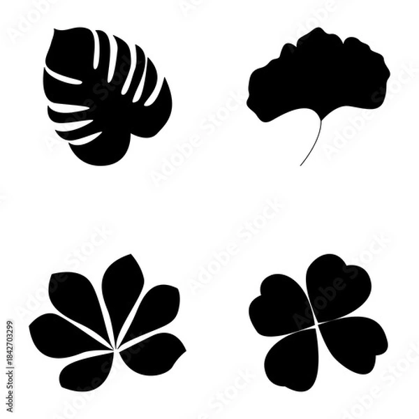 Obraz set of vector leaves
