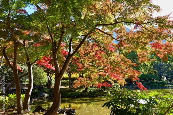 Obraz 東京, 日比谷公園の紅葉
