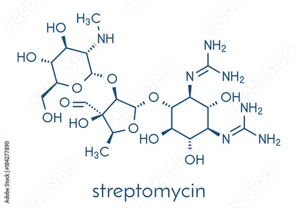 Fototapeta Streptomycin tuberculosis antibiotic (aminoglycoside class) molecule. Skeletal formula.