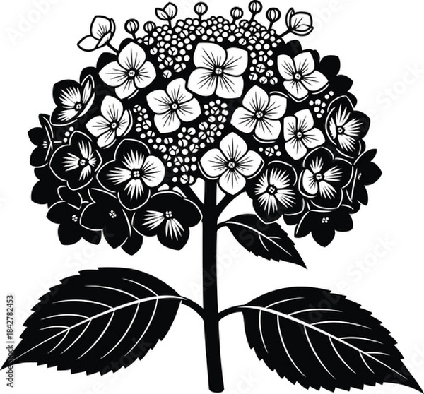 Obraz Hydrangea Flower Bouquet Engraved Style