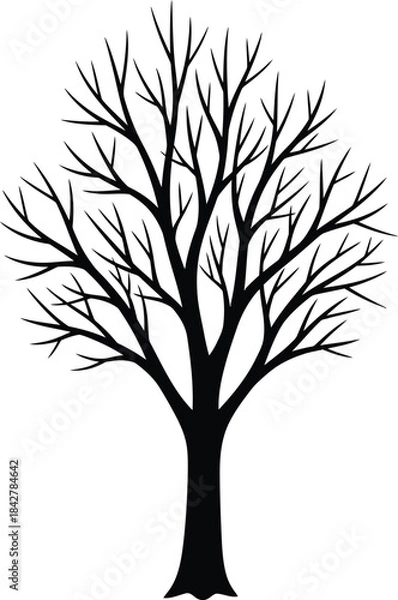 Obraz Leafless Tree Silhouette Vector