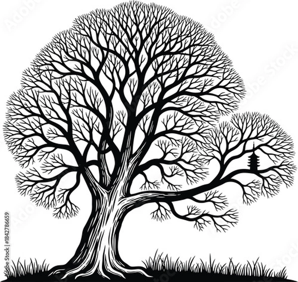 Fototapeta Bare Tree With Branches Detailed Vector