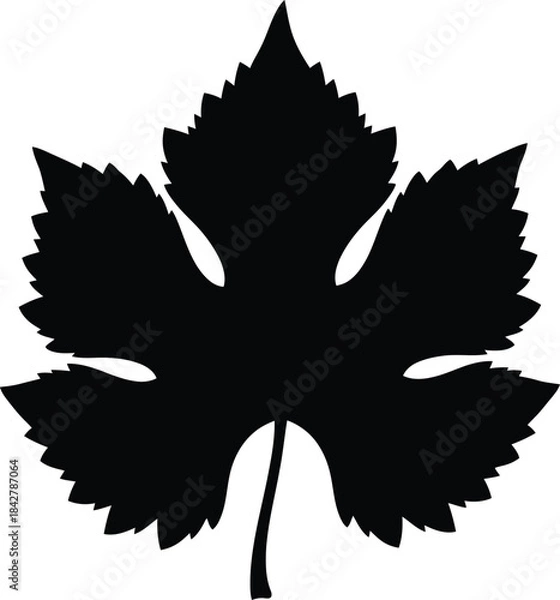 Obraz Leaf Silhouette Bold Botanical Vector