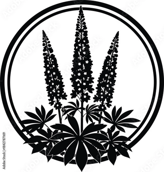 Obraz Lupine Flowers Decorative Botanical Circle Vector