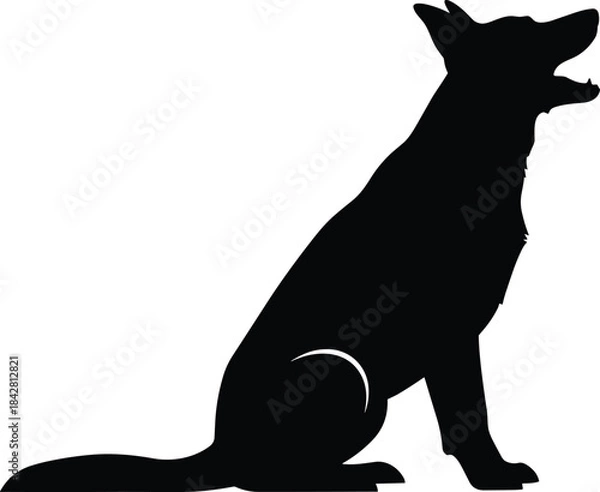Obraz Black silhouette vector illustration of a German Shepherd or similar domestic dog breed sitting in profile, barking or howling, isolated on a white 