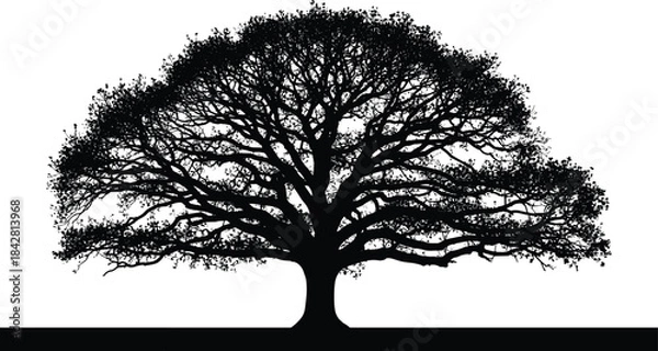 Obraz Massive Black Silhouette of an Old Sprawling Oak Tree Icon, Detailed Crown with Dense Leaves and Wide Branches on a White Background Vector Graphic.