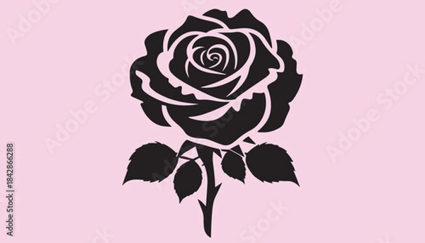 Fototapeta creative rose design using adobe illustrator and vactor ..	