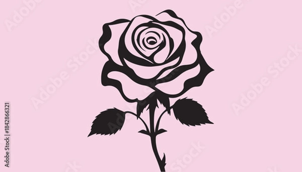 Obraz creative rose design using adobe illustrator and vactor ..	