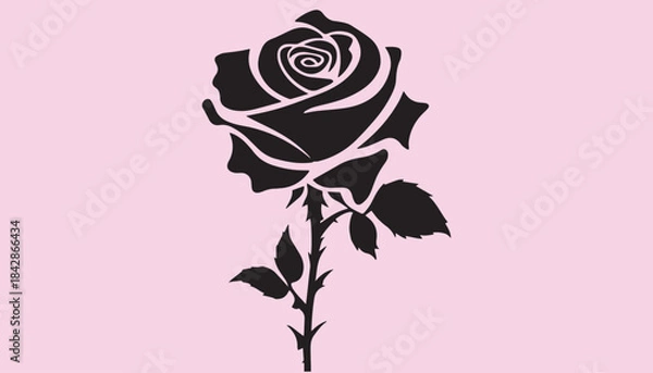 Fototapeta creative rose design using adobe illustrator and vactor ..	