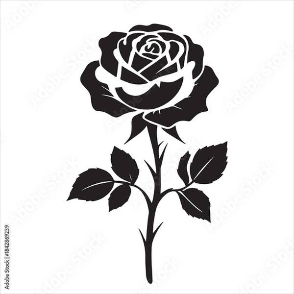 Obraz creative rose design using adobe illustrator and vactor..	