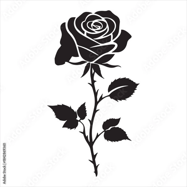 Obraz creative rose design using adobe illustrator and vactor..	