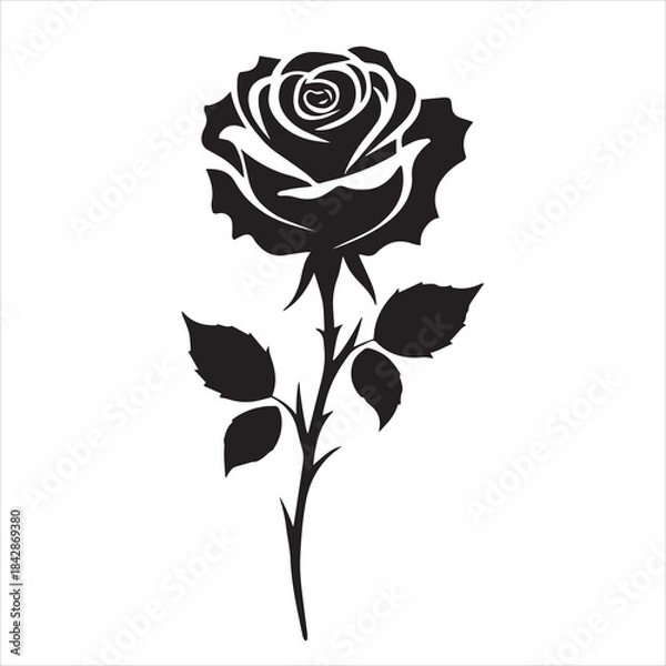 Obraz creative rose design using adobe illustrator and vactor..	