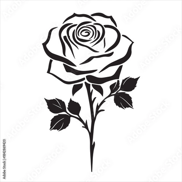 Fototapeta creative rose design using adobe illustrator and vactor..	
