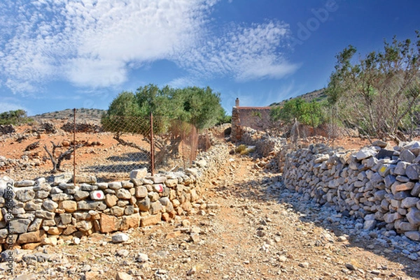 Obraz A dirt path leading between  with stone walls in Kalydon (Spinalonga) peninsula near Elounda town of Crete island in Greece,