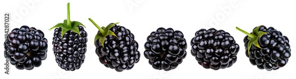 Fototapeta Fresh blackberry isolated on white background with clipping path