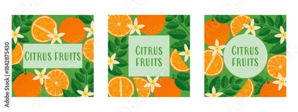 Obraz Set of three bright square citrus illustrations featuring oranges, slices, and leaves with copy space. Perfect for cards, invitations, covers, flyers, banners, brochures, and fresh summer designs.