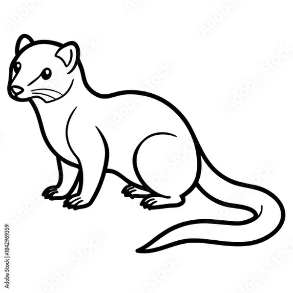 Fototapeta Dwarf Mongoose Line Art Vector Illustration on White Background
