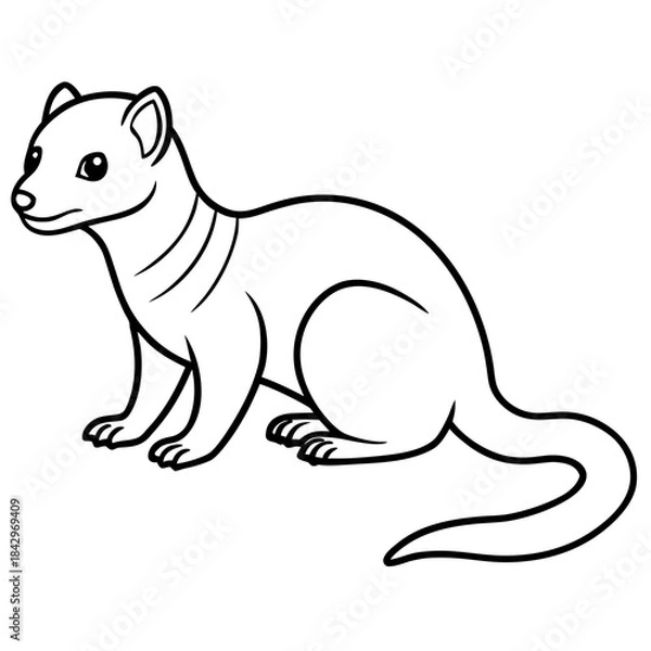 Fototapeta Dwarf Mongoose Line Art Vector Illustration on White Background