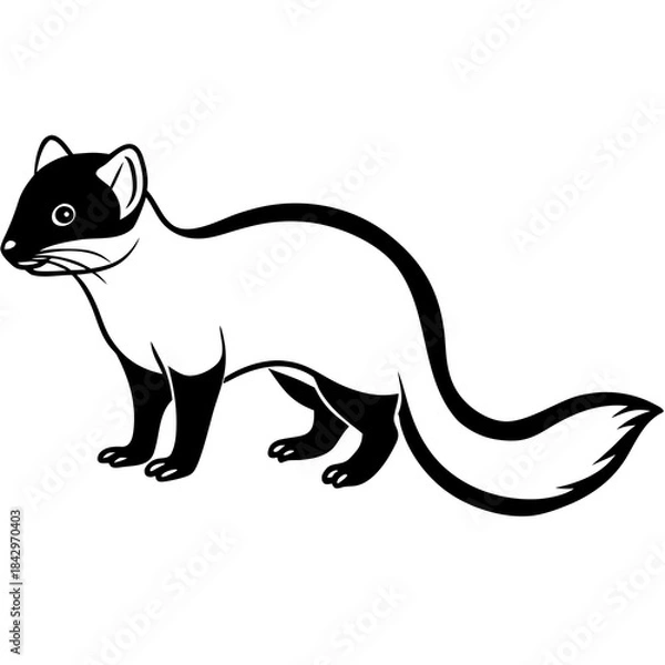 Fototapeta Dwarf Mongoose Silhouette Vector Illustration on White Background