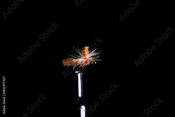 Fototapeta Trockenfliege 