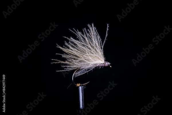 Fototapeta Trockenfliege 