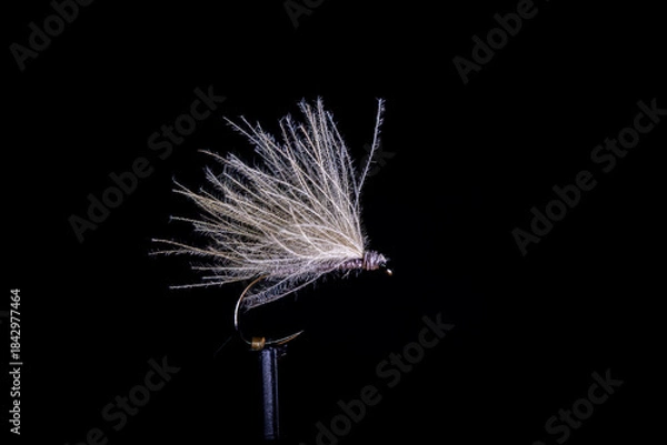 Fototapeta Trockenfliege 