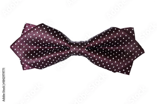 Obraz Elegant classic bow tie isolated on white background.