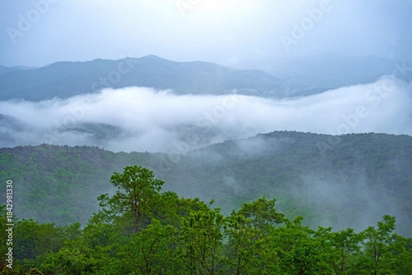 Fototapeta Rain and Fog in the Blue Ridge Mountains