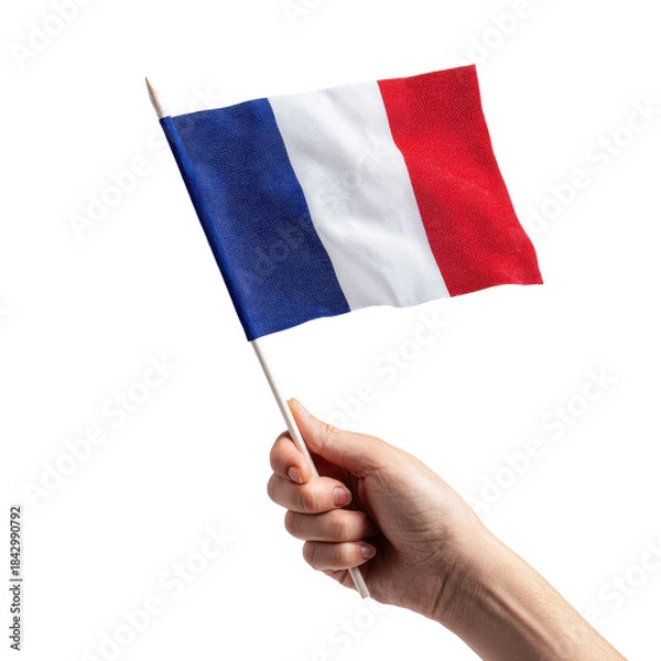 Fototapeta Hand holding a small french flag on a stick against a black background