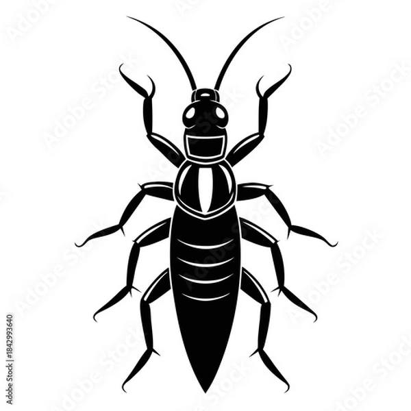 Obraz Earwig Black Silhouette Vector – Clean White Background Design