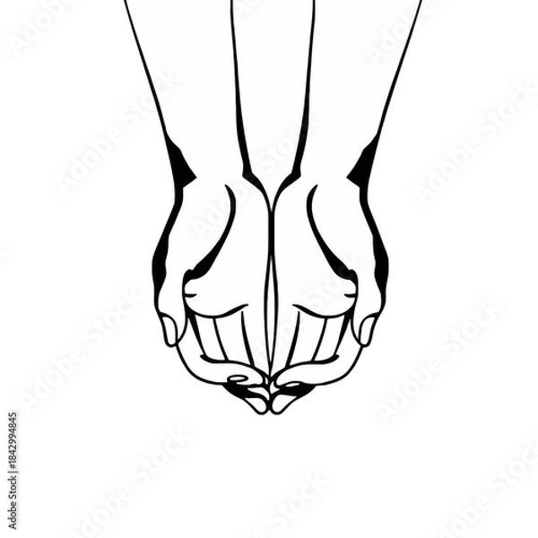 Fototapeta Minimalist black and white line art illustration of two hands cupped together, palms facing, fingers intertwined, suggesting holding or receiving.