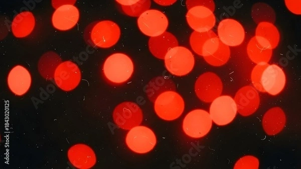 Fototapeta Abstract background of vibrant red bokeh lights on a dark backdrop