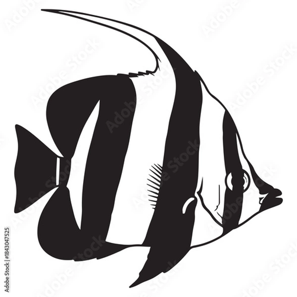 Fototapeta Illustration of a Regal Angelfish with Distinctive Black and White Stripes
