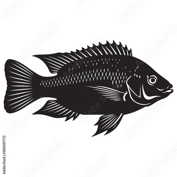 Fototapeta Black silhouette of a fish with detailed scales and fins on a white background