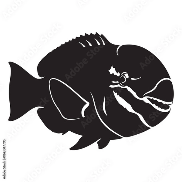 Fototapeta Silhouette of a vibrant fish with sharp fins and an open mouth, marine life