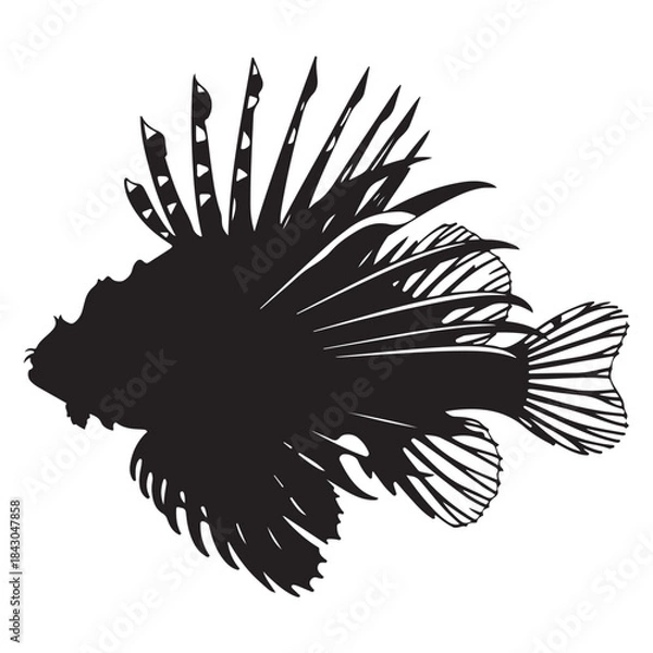 Fototapeta Silhouette of a lionfish, a venomous marine fish with distinctive fins
