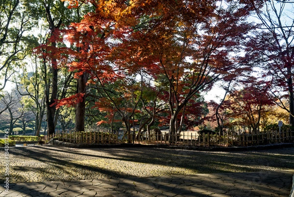 Obraz Sunlight and Stone