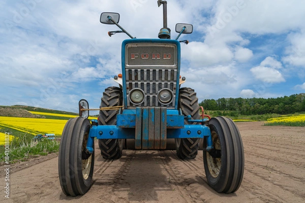 Obraz 菜の花畑の風景