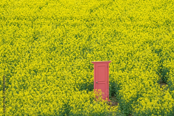 Obraz 菜の花畑の風景