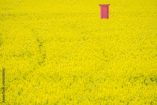 Obraz 菜の花畑の風景