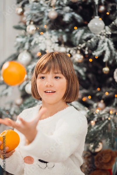 Fototapeta Charming girl plays with oranges before a Christmas tree