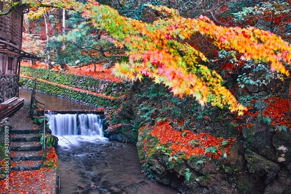 Obraz 京都市左京区、紅葉で色ずく貴船川の景観
