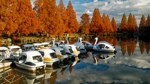 Obraz Still Waters, Burning Trees